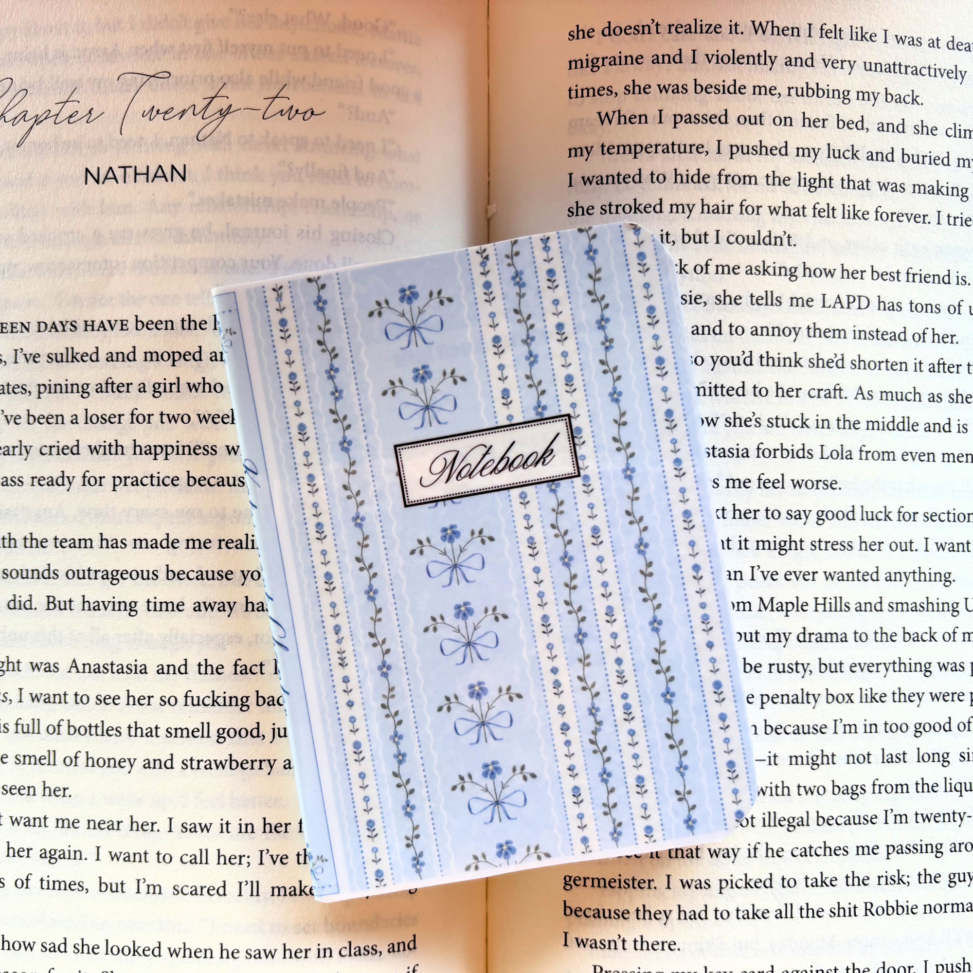Coquette Mini Notebooks